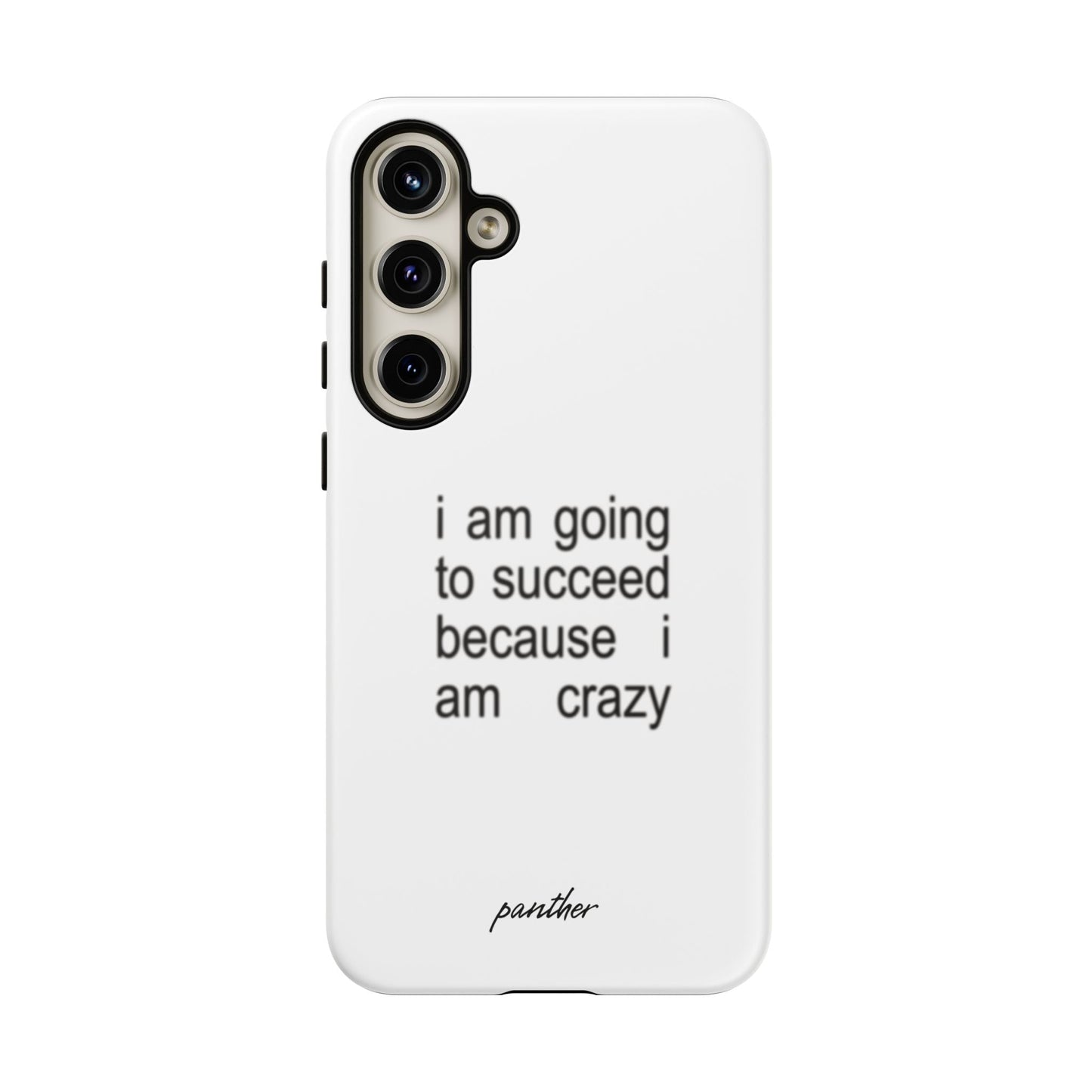 I Am Going To Succeed Because I Am Crazy