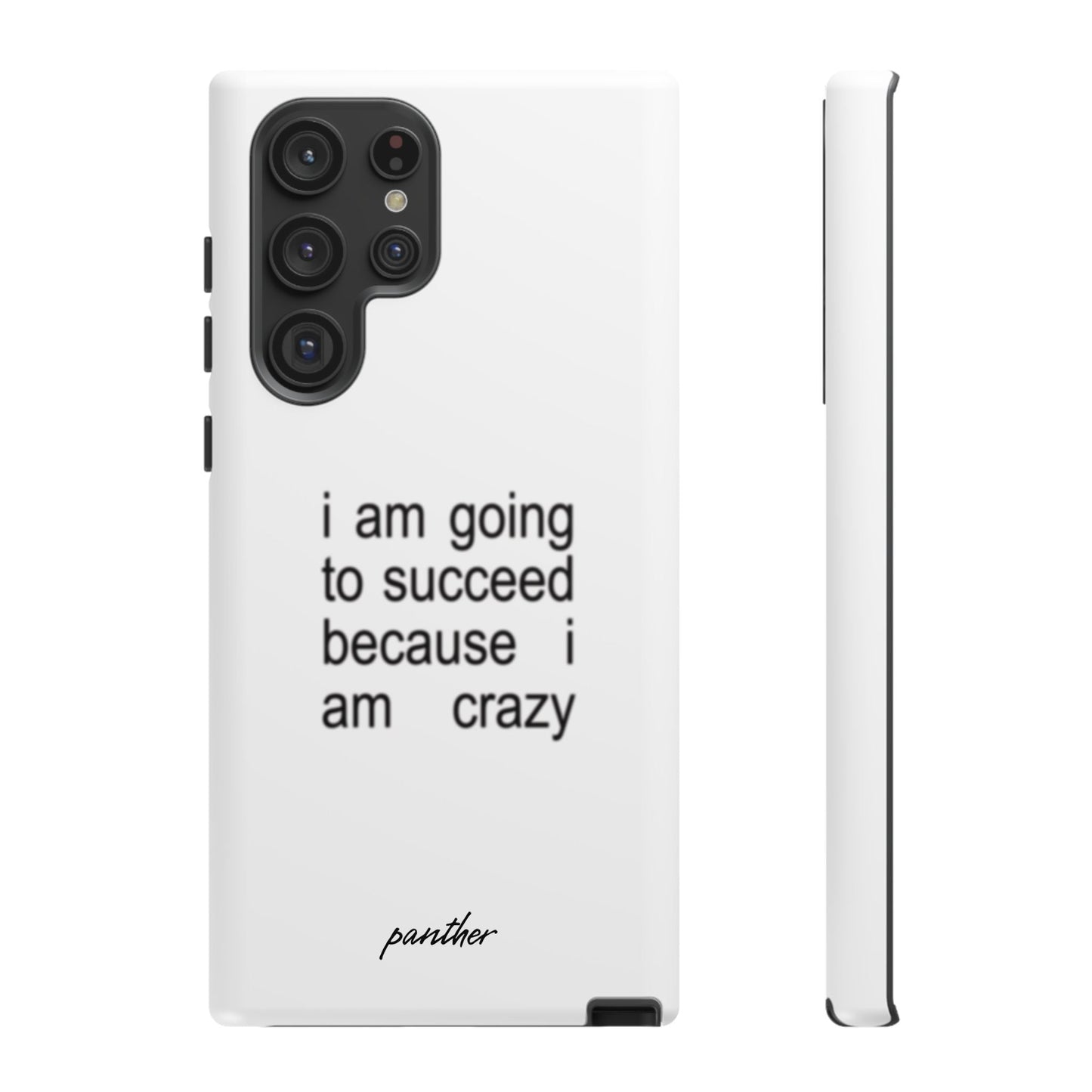 I Am Going To Succeed Because I Am Crazy