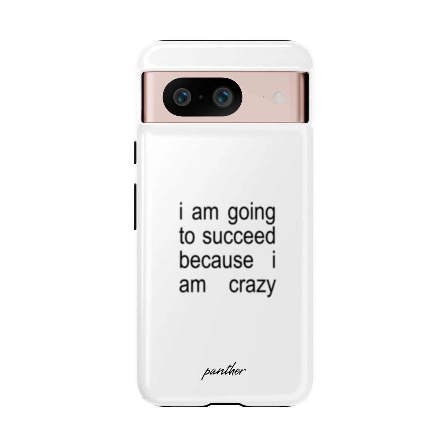 I Am Going To Succeed Because I Am Crazy