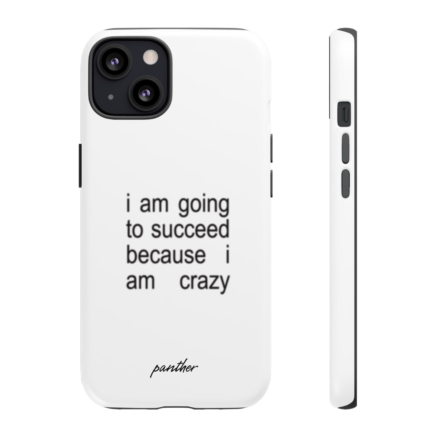 I Am Going To Succeed Because I Am Crazy