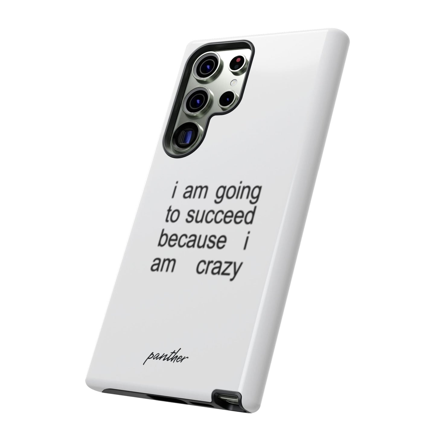 I Am Going To Succeed Because I Am Crazy