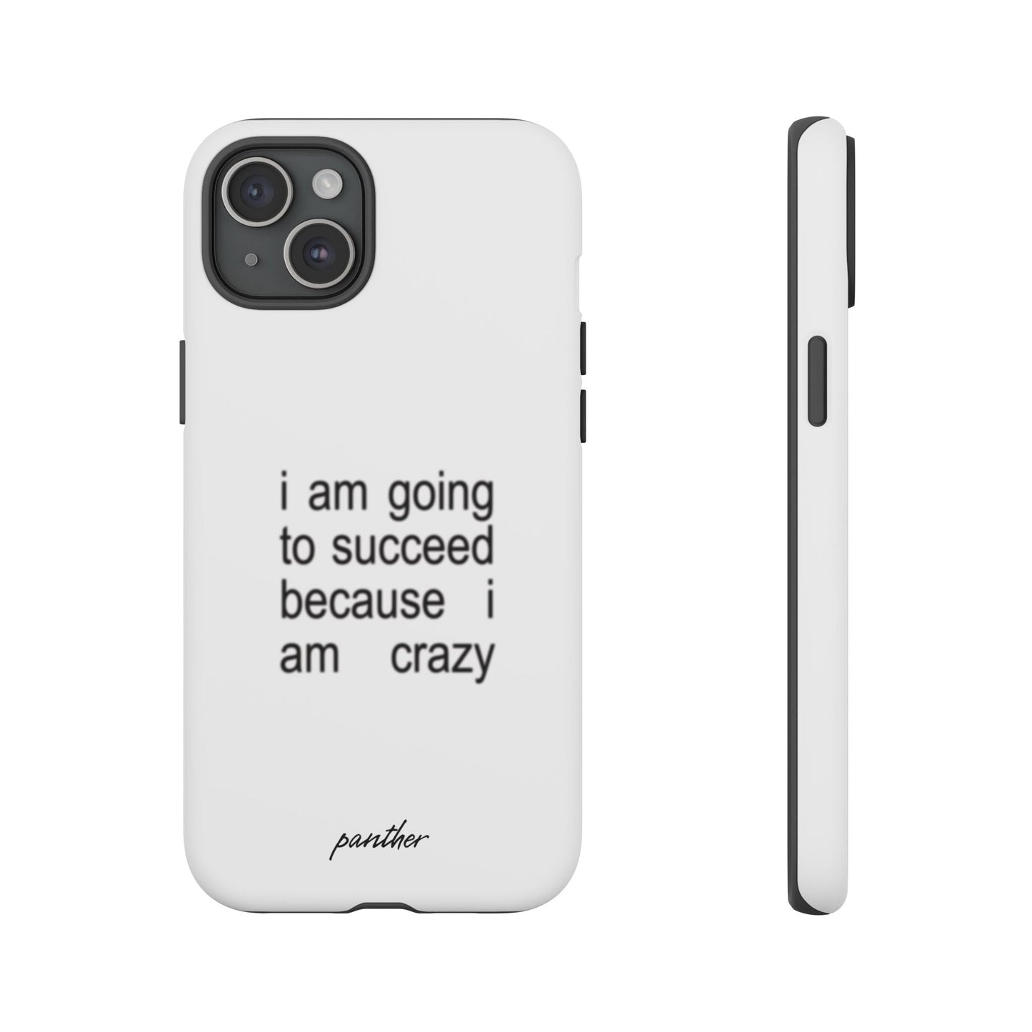 I Am Going To Succeed Because I Am Crazy