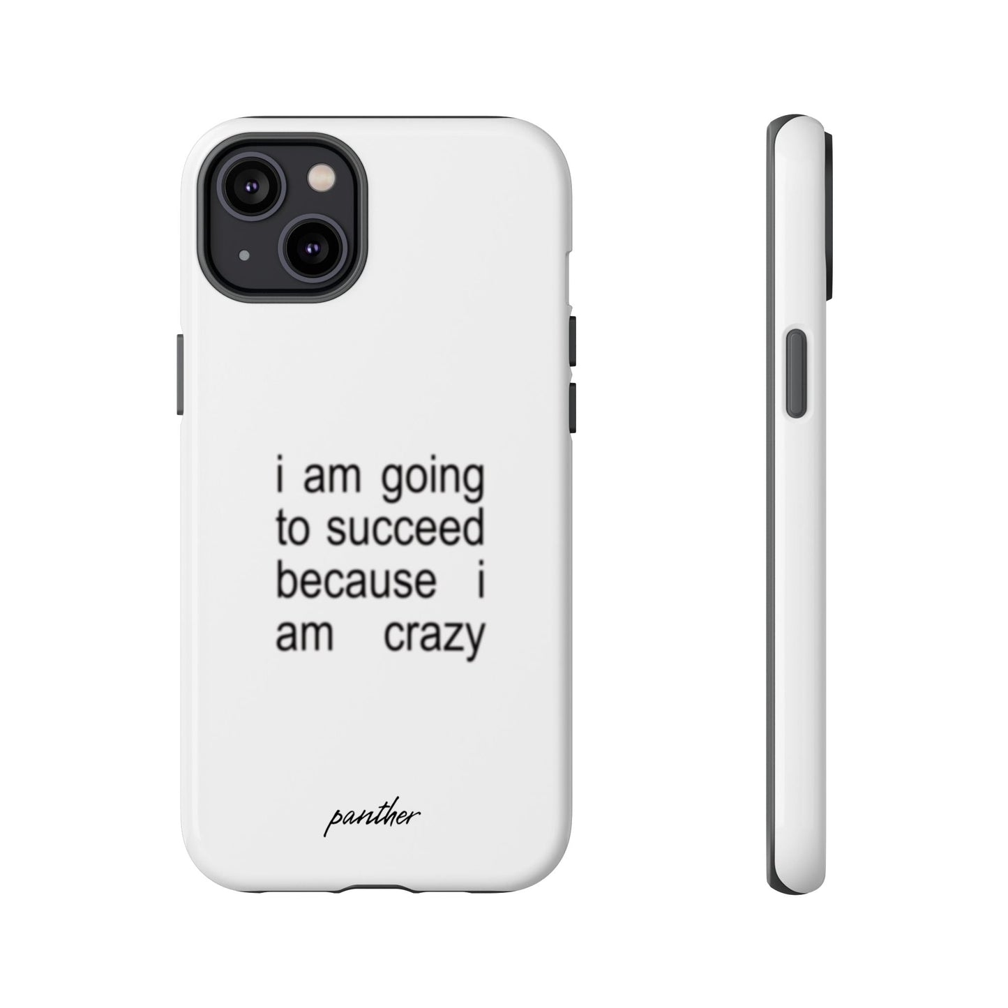 I Am Going To Succeed Because I Am Crazy