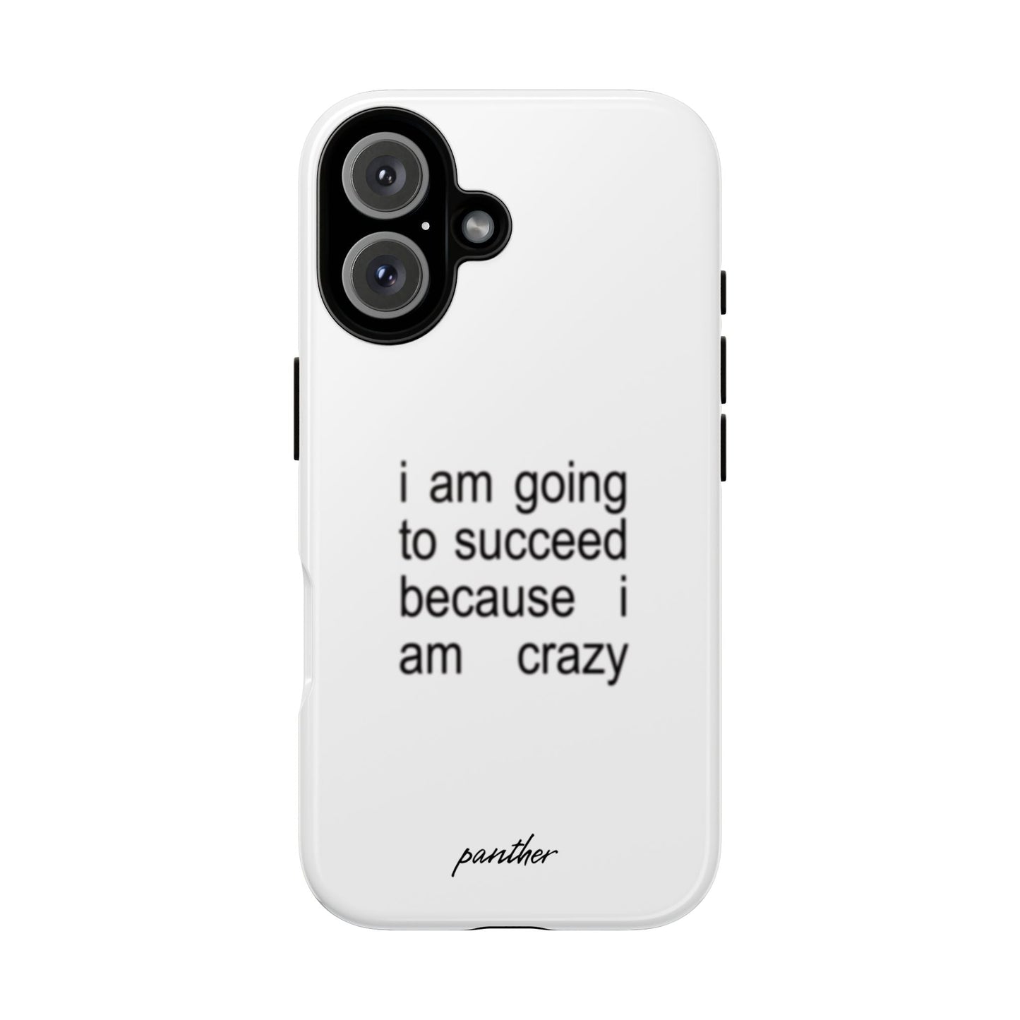 I Am Going To Succeed Because I Am Crazy