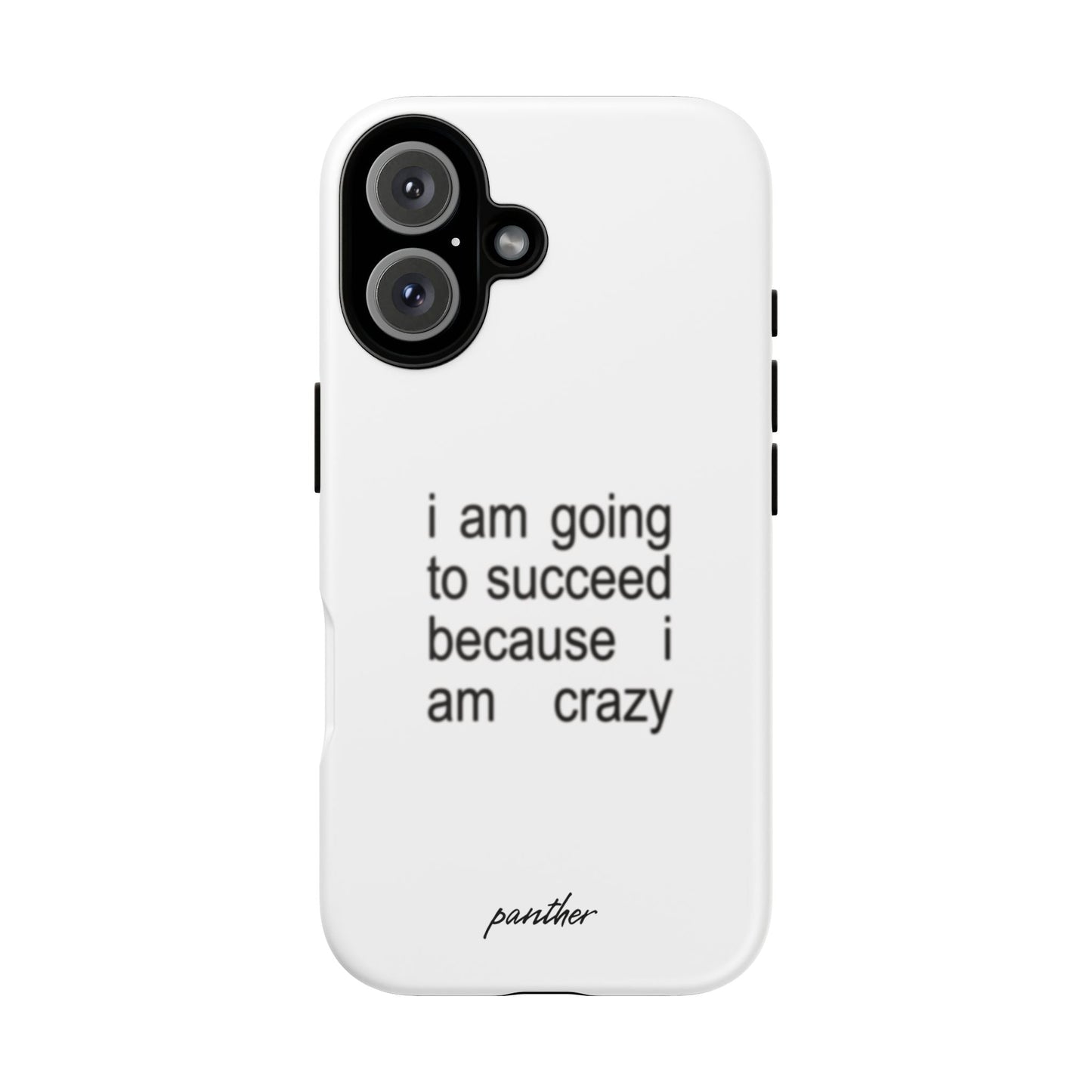 I Am Going To Succeed Because I Am Crazy