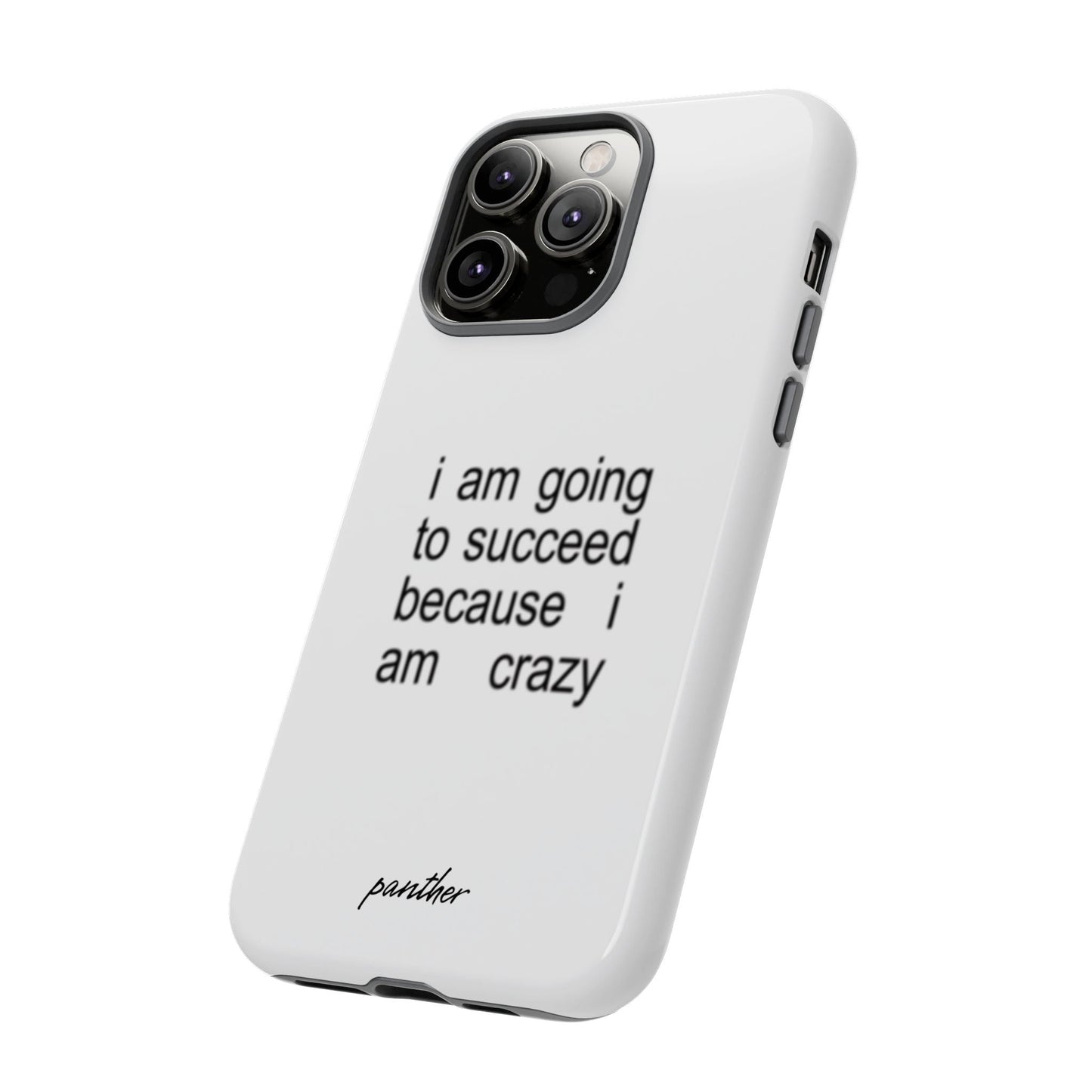 I Am Going To Succeed Because I Am Crazy