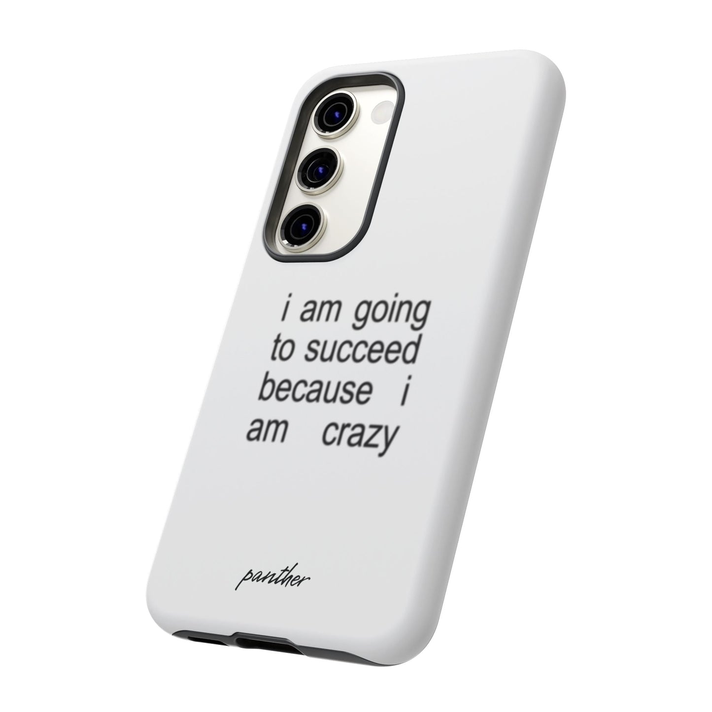 I Am Going To Succeed Because I Am Crazy