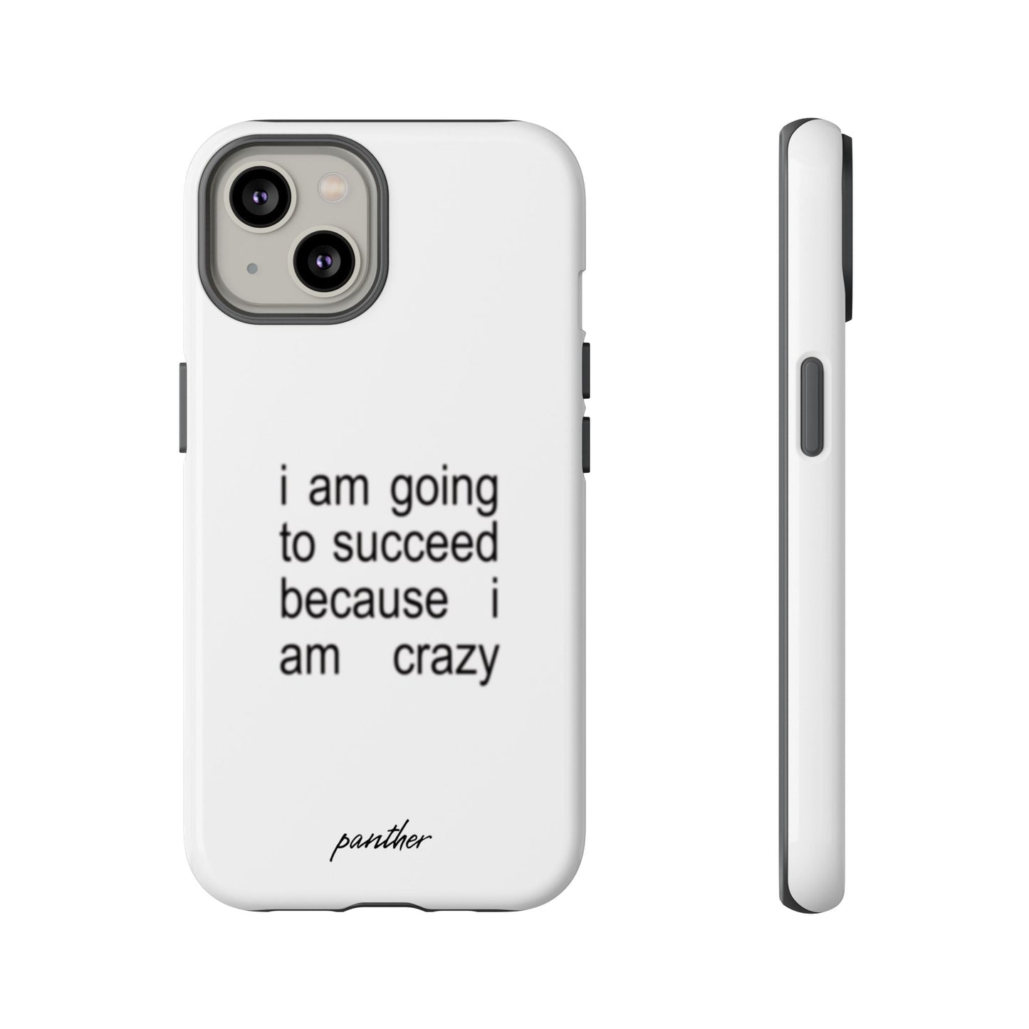 I Am Going To Succeed Because I Am Crazy