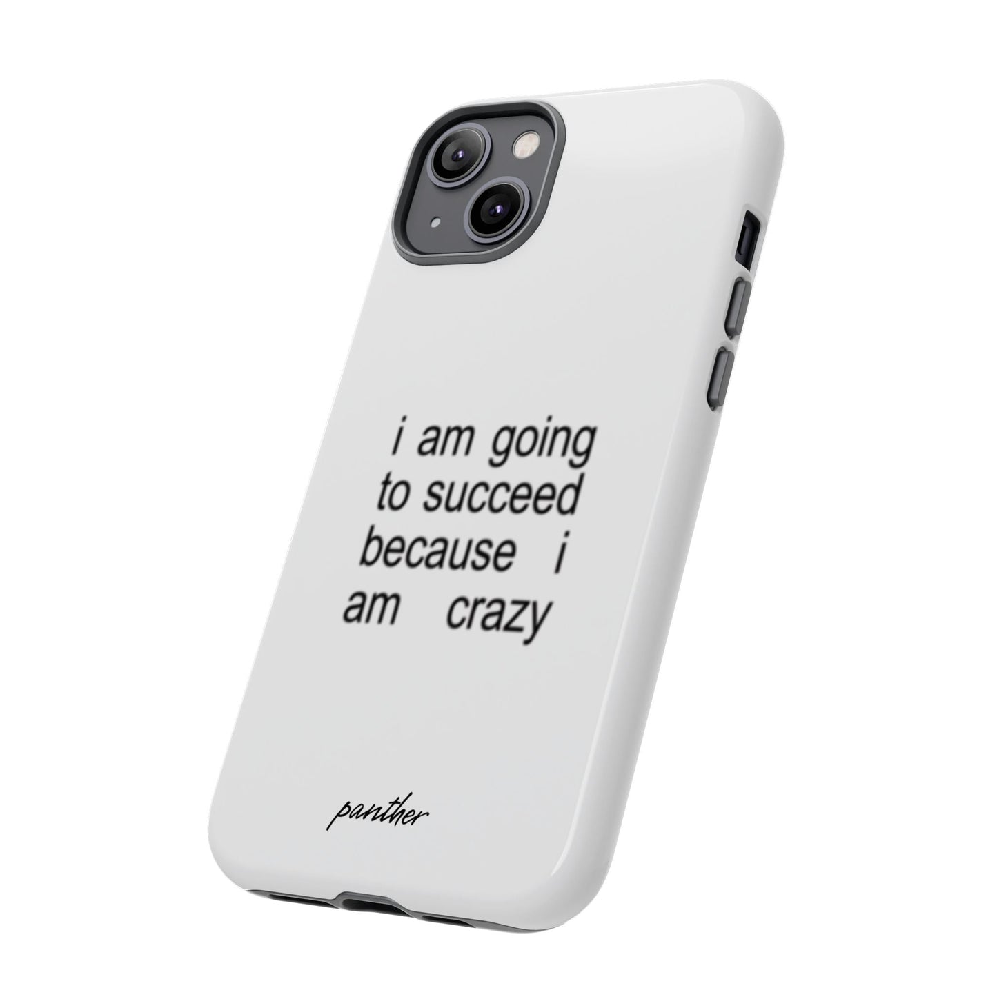 I Am Going To Succeed Because I Am Crazy