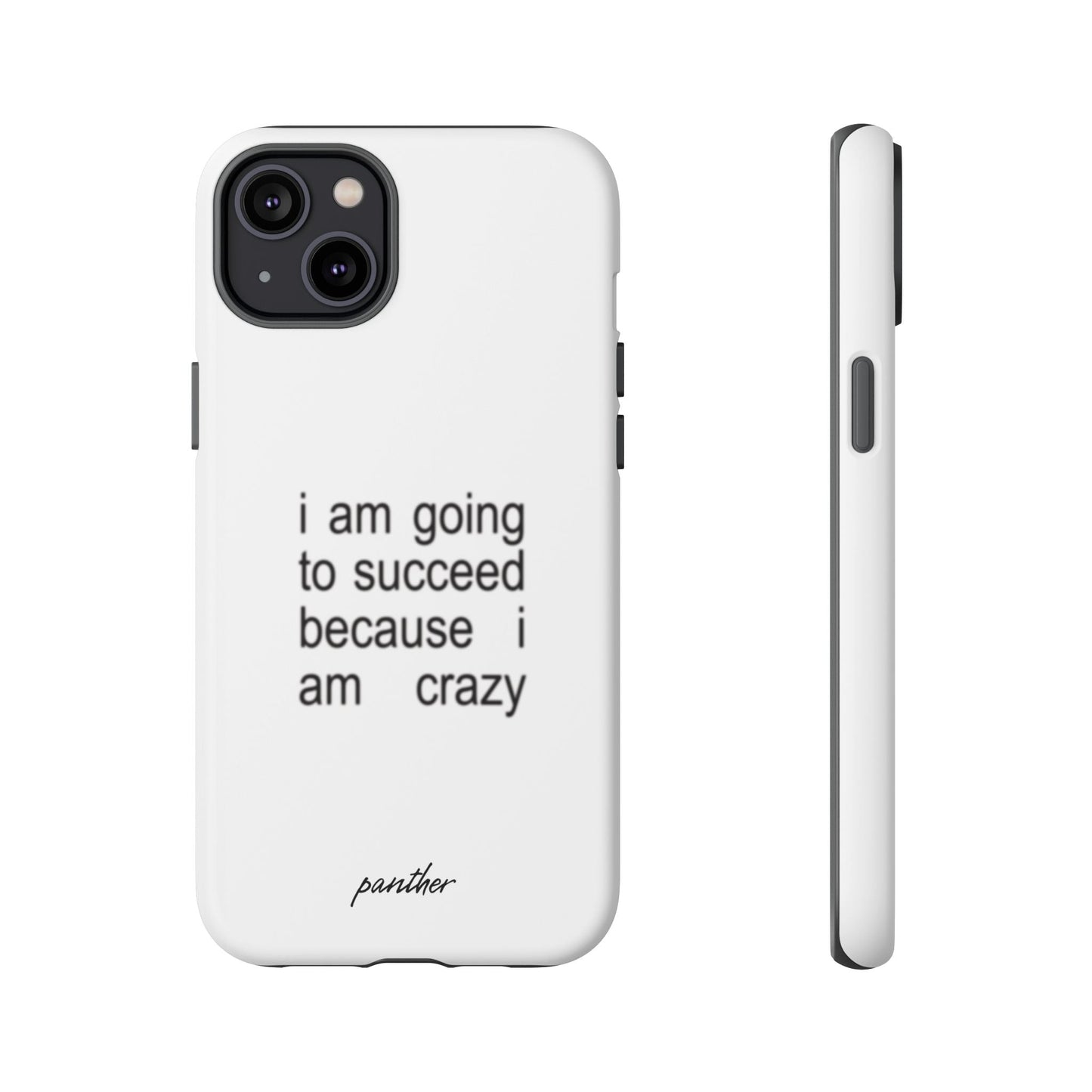 I Am Going To Succeed Because I Am Crazy
