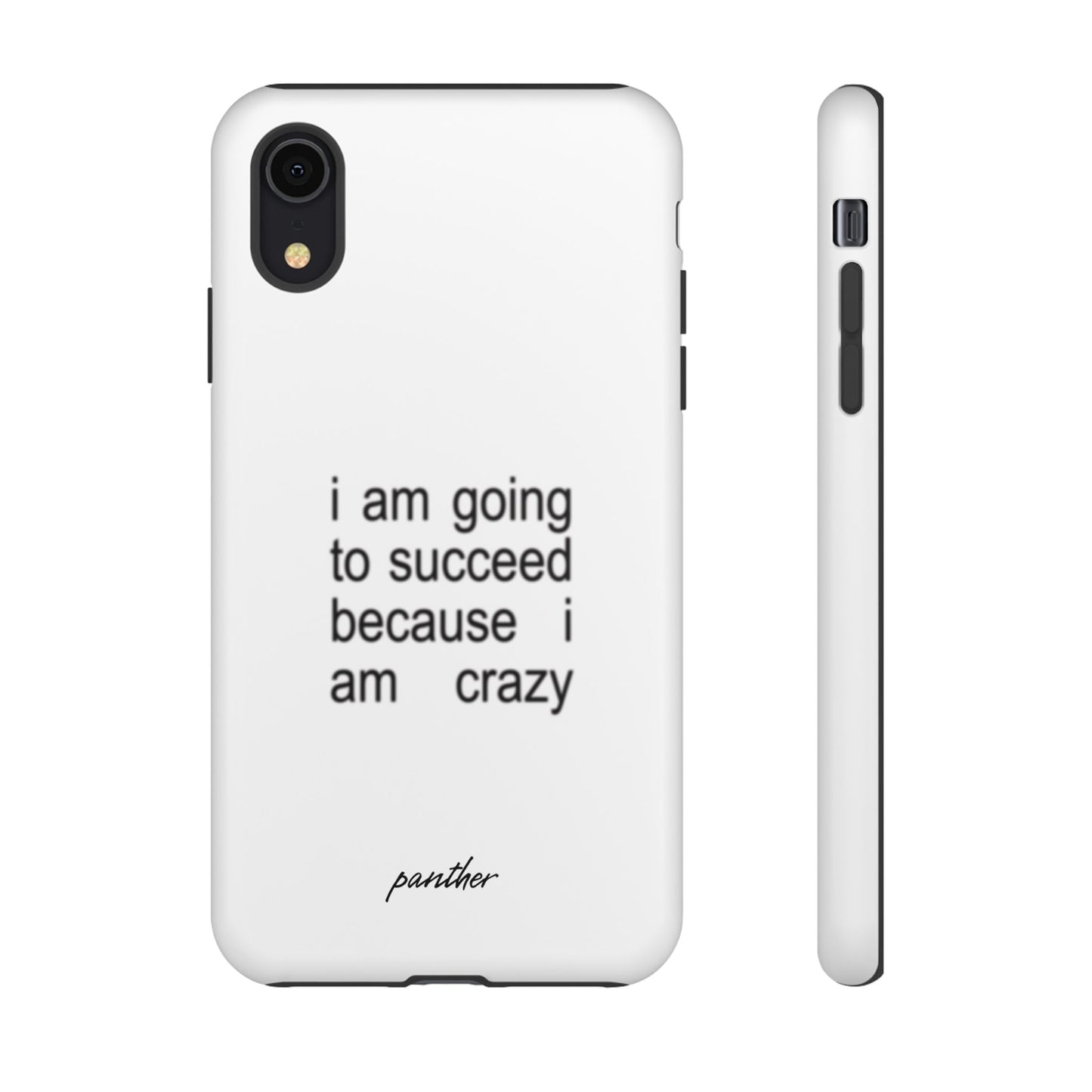 I Am Going To Succeed Because I Am Crazy.