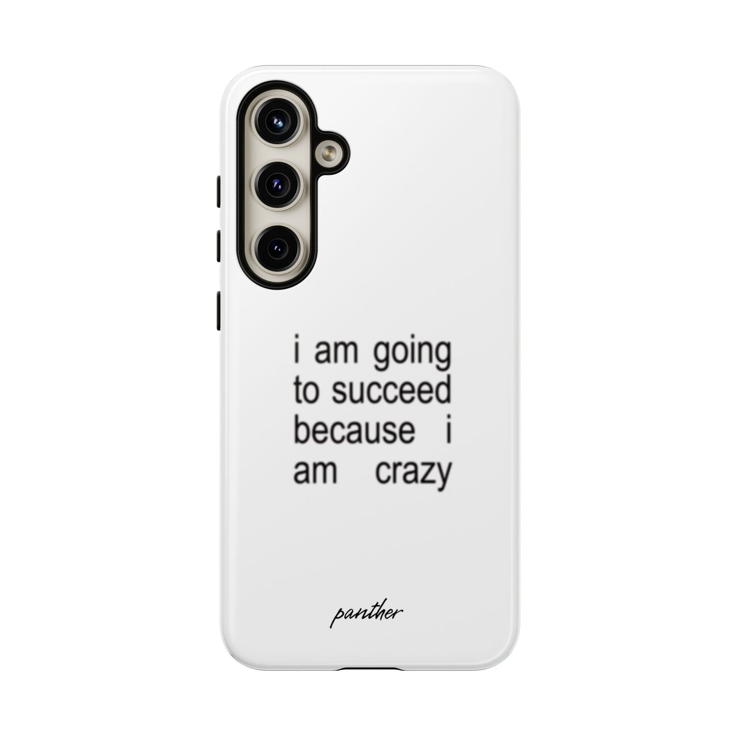 I Am Going To Succeed Because I Am Crazy
