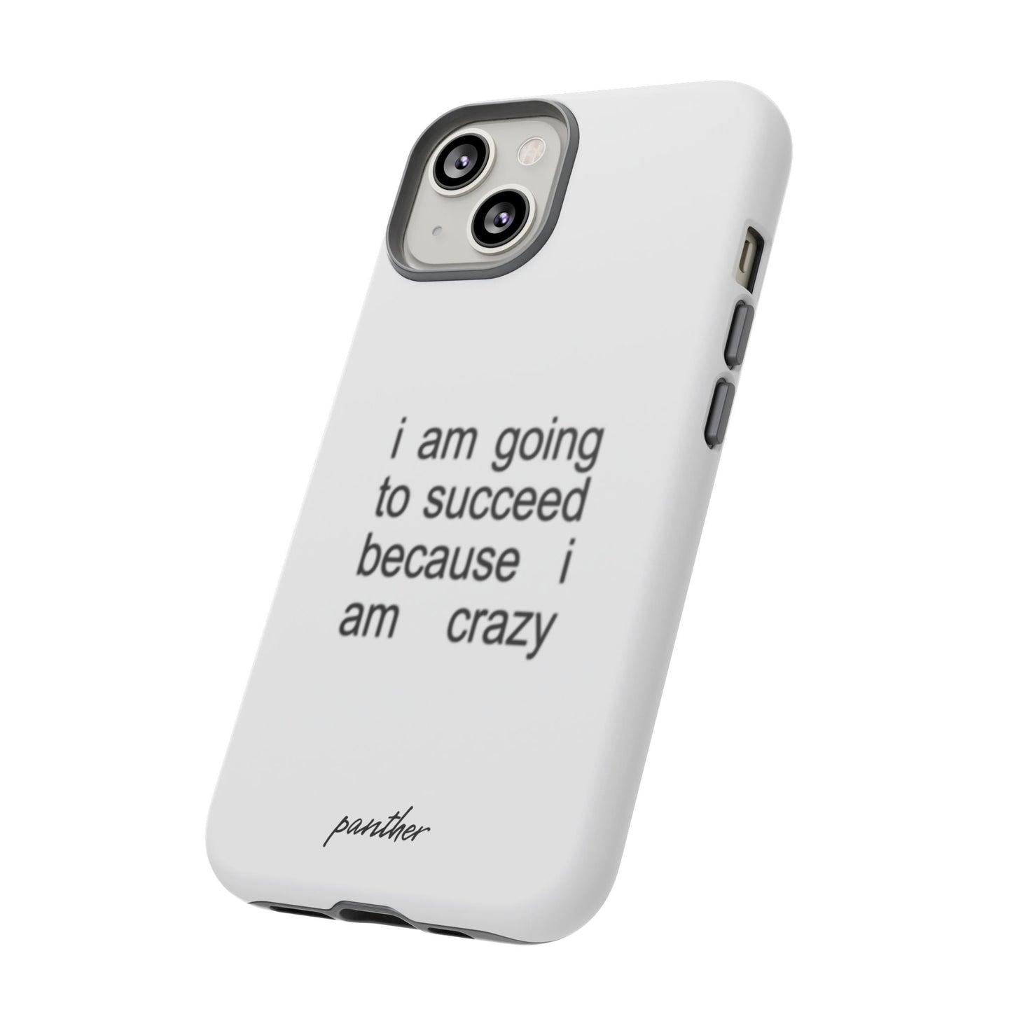 I Am Going To Succeed Because I Am Crazy