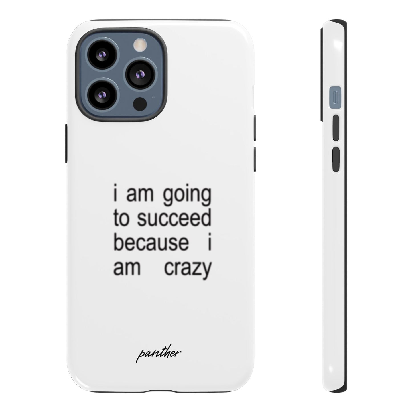 I Am Going To Succeed Because I Am Crazy