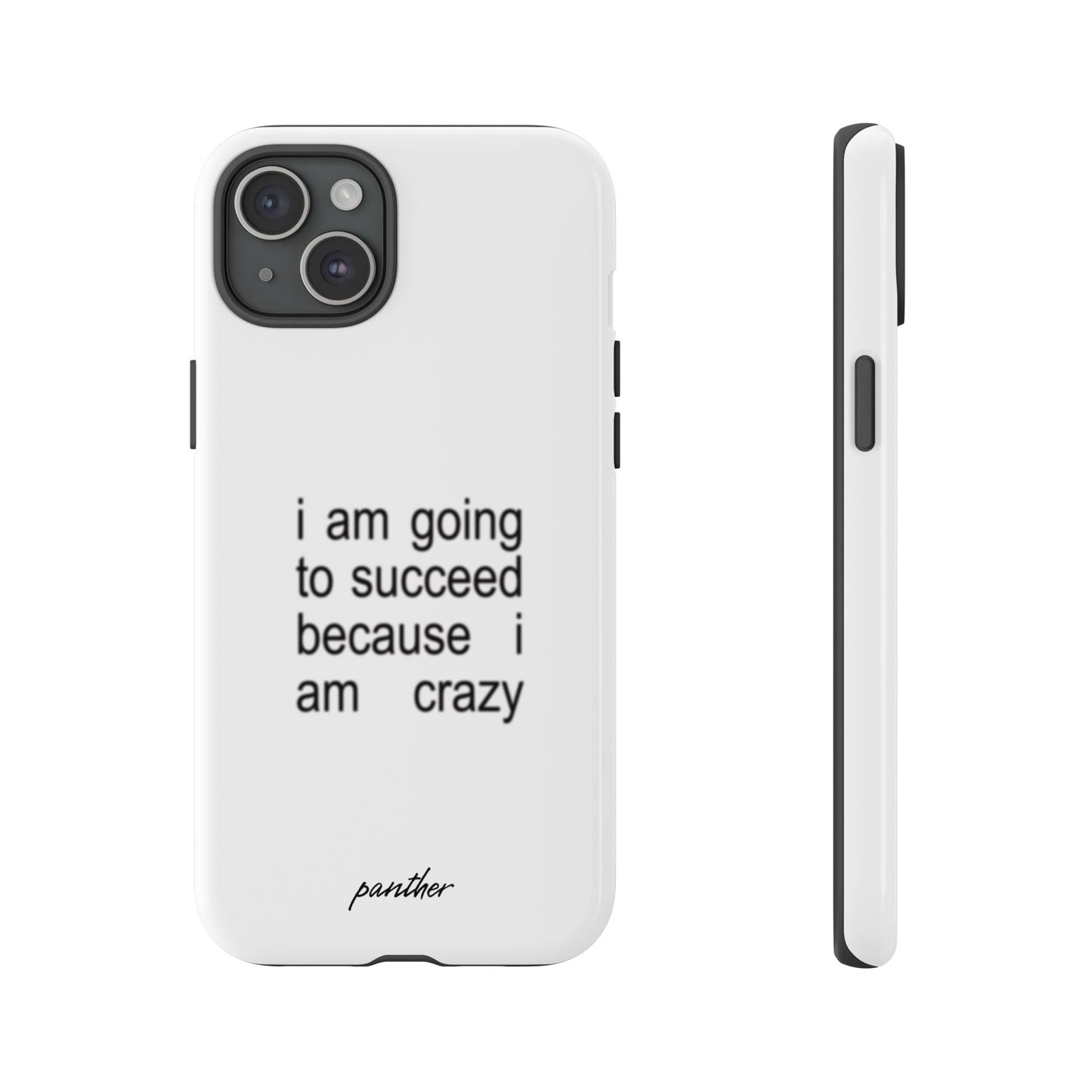 I Am Going To Succeed Because I Am Crazy