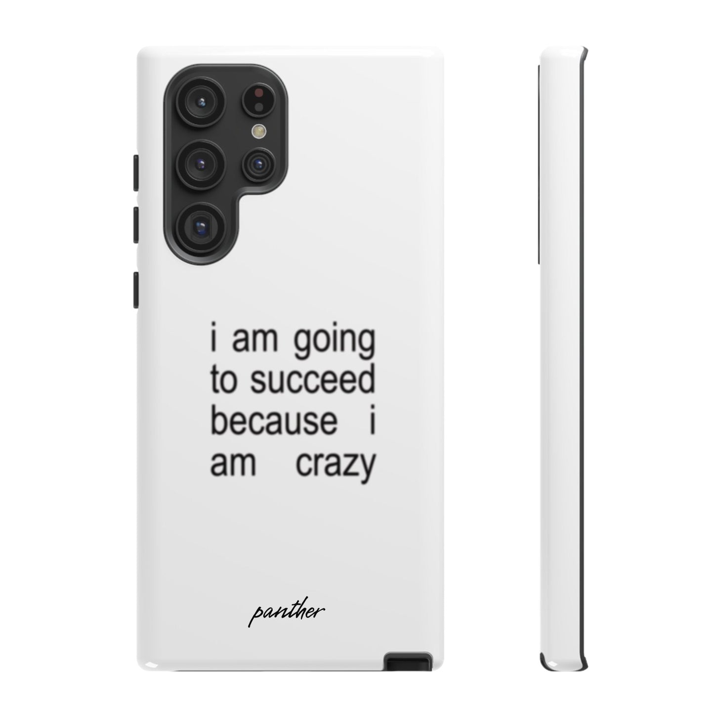 I Am Going To Succeed Because I Am Crazy