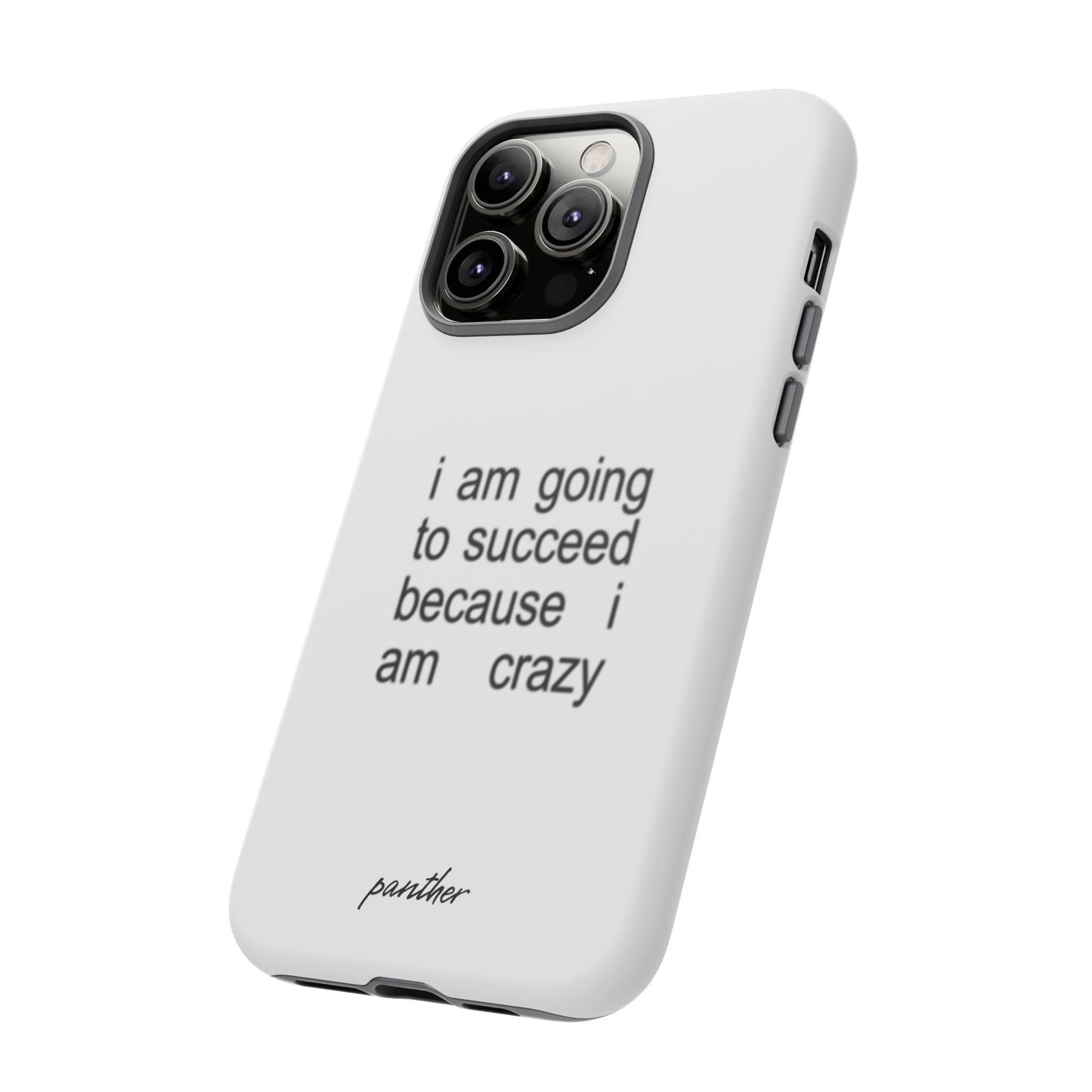 I Am Going To Succeed Because I Am Crazy