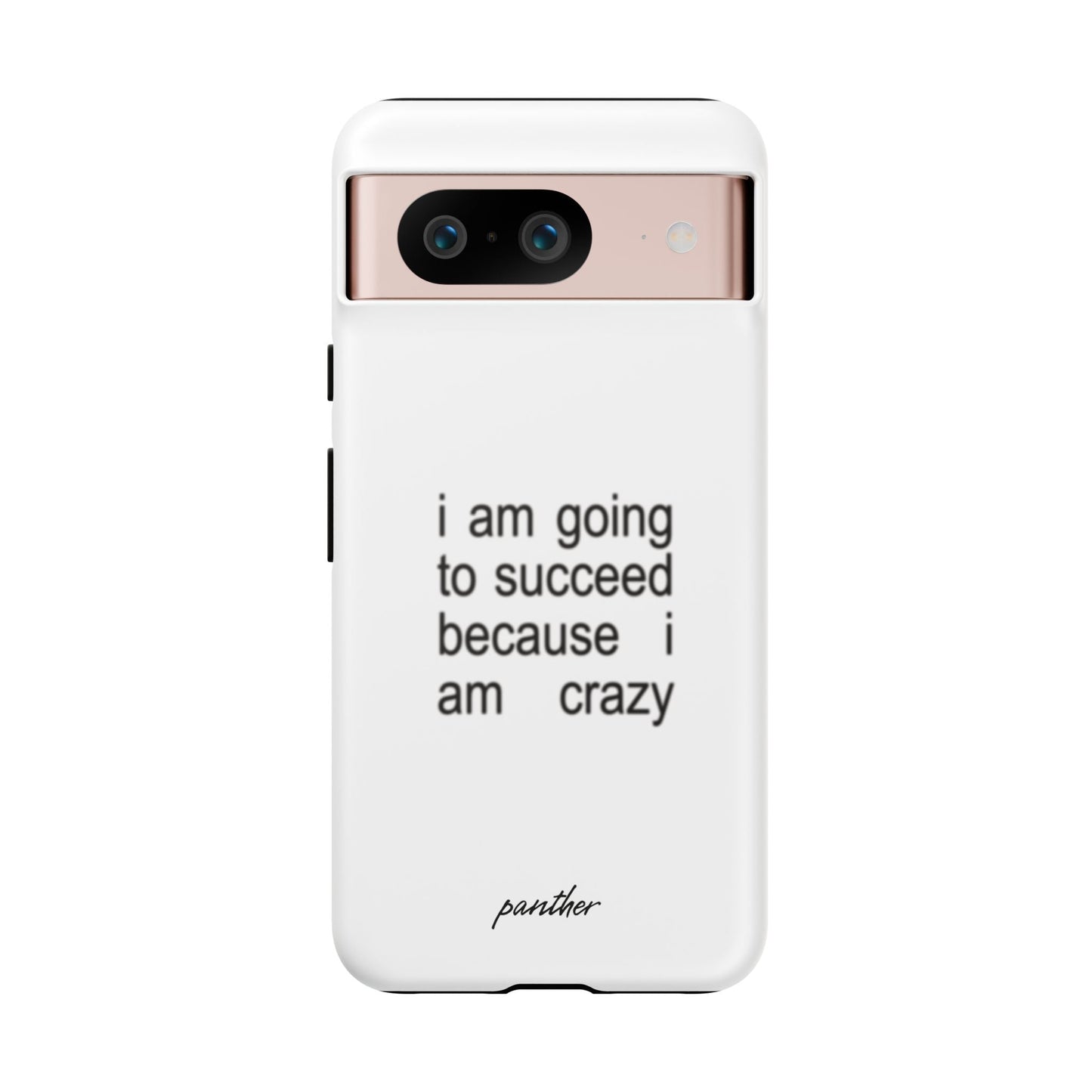I Am Going To Succeed Because I Am Crazy