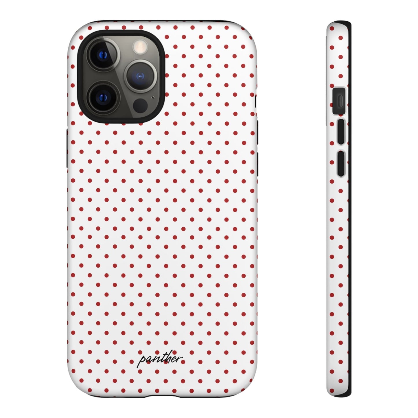 Ladybug V2