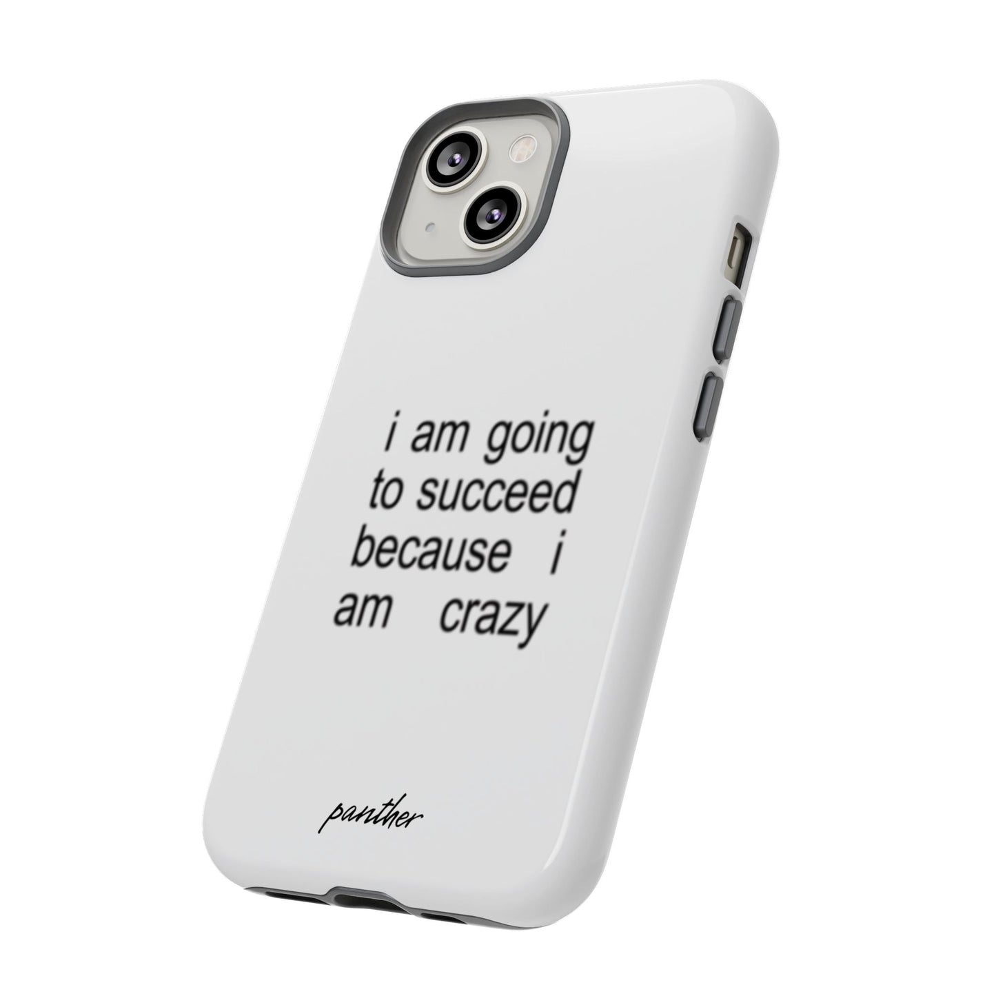 I Am Going To Succeed Because I Am Crazy