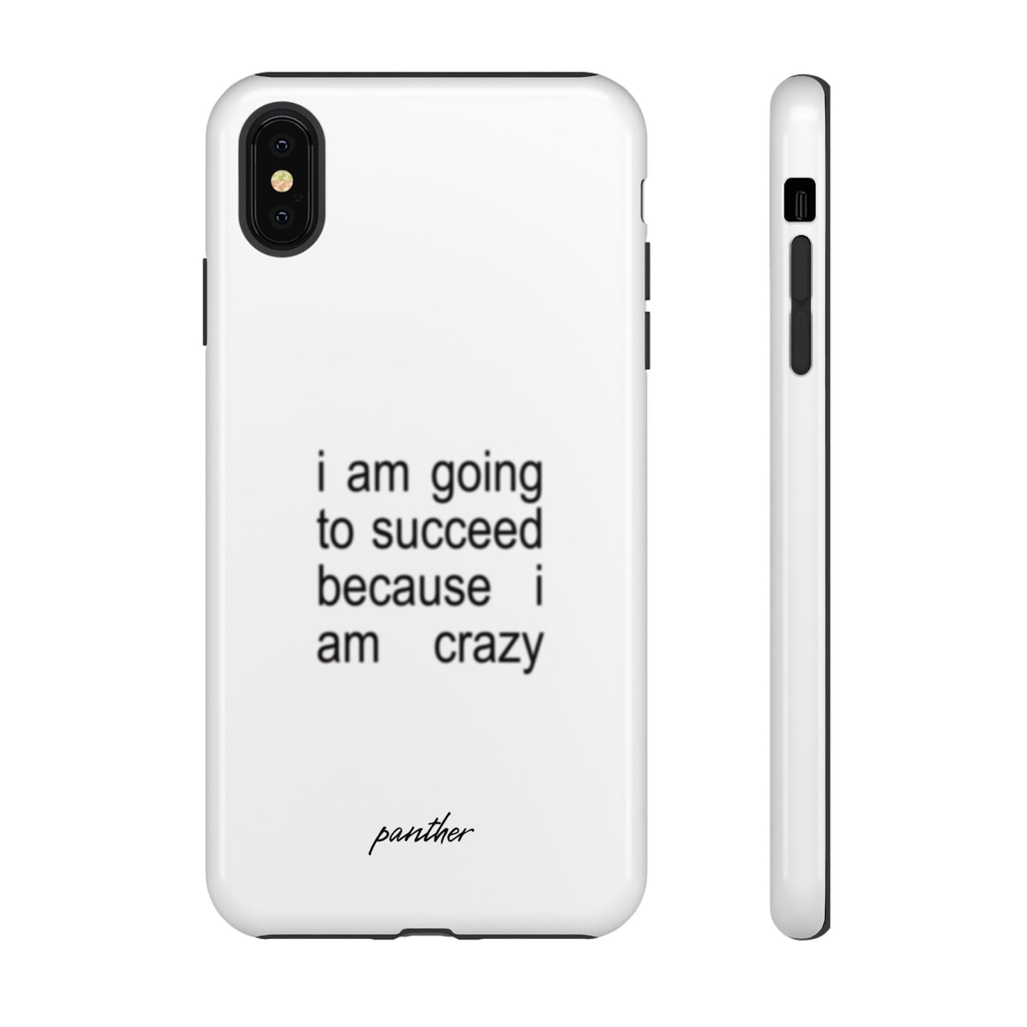 I Am Going To Succeed Because I Am Crazy.
