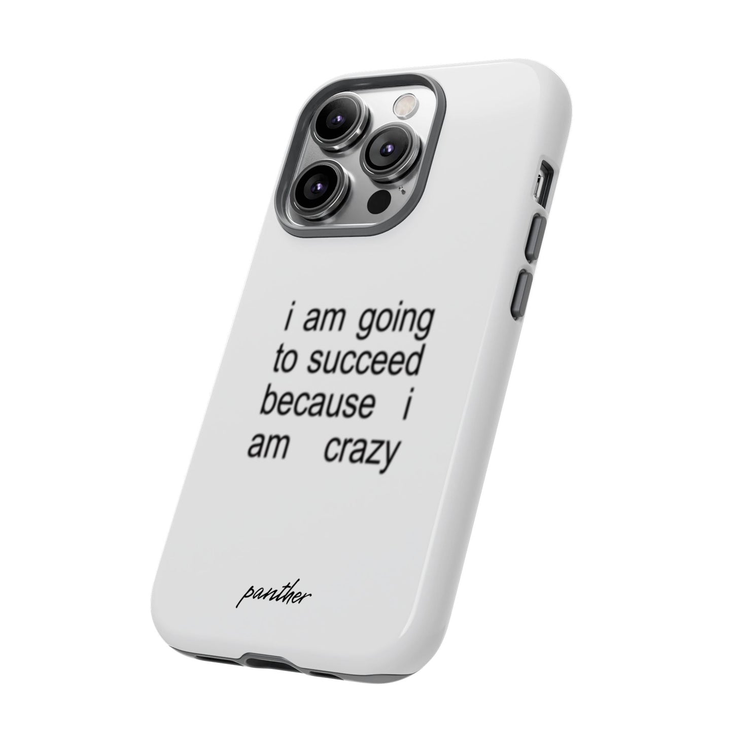 I Am Going To Succeed Because I Am Crazy