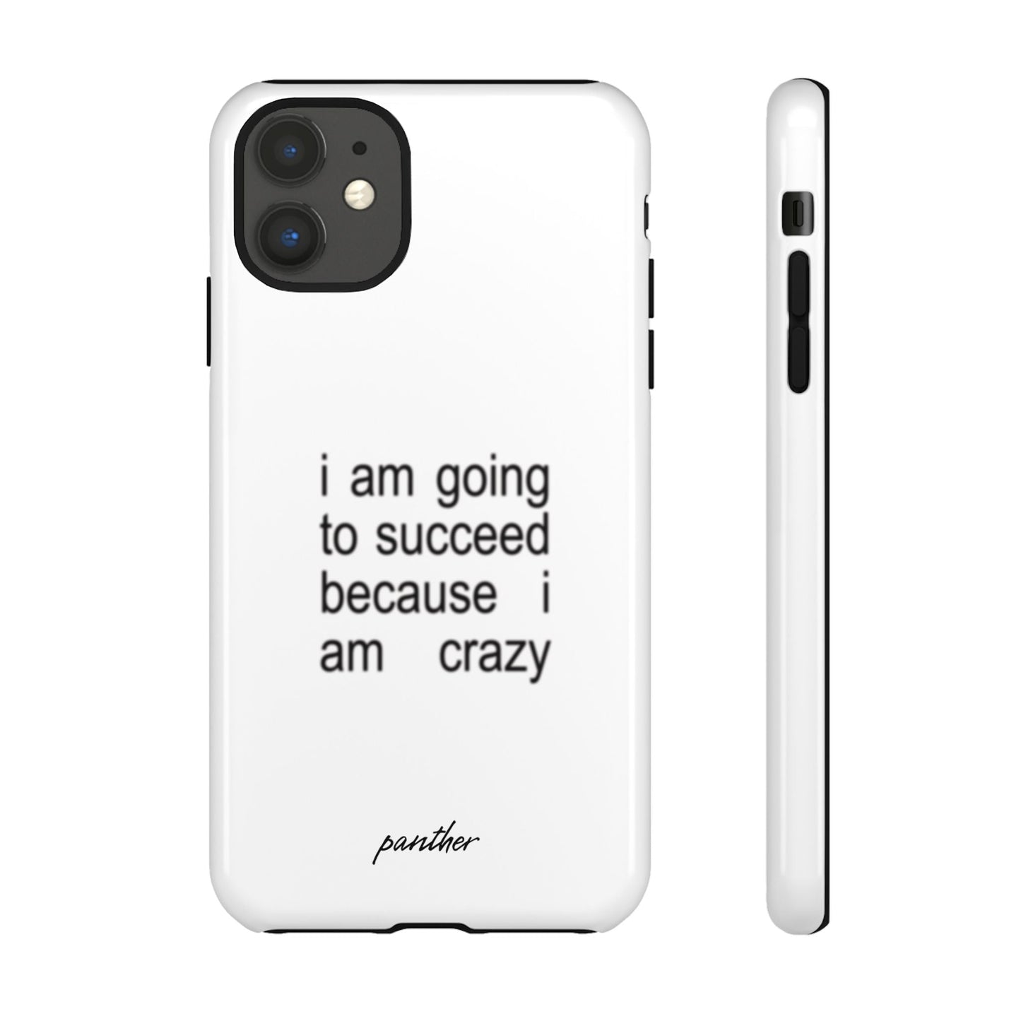 I Am Going To Succeed Because I Am Crazy.