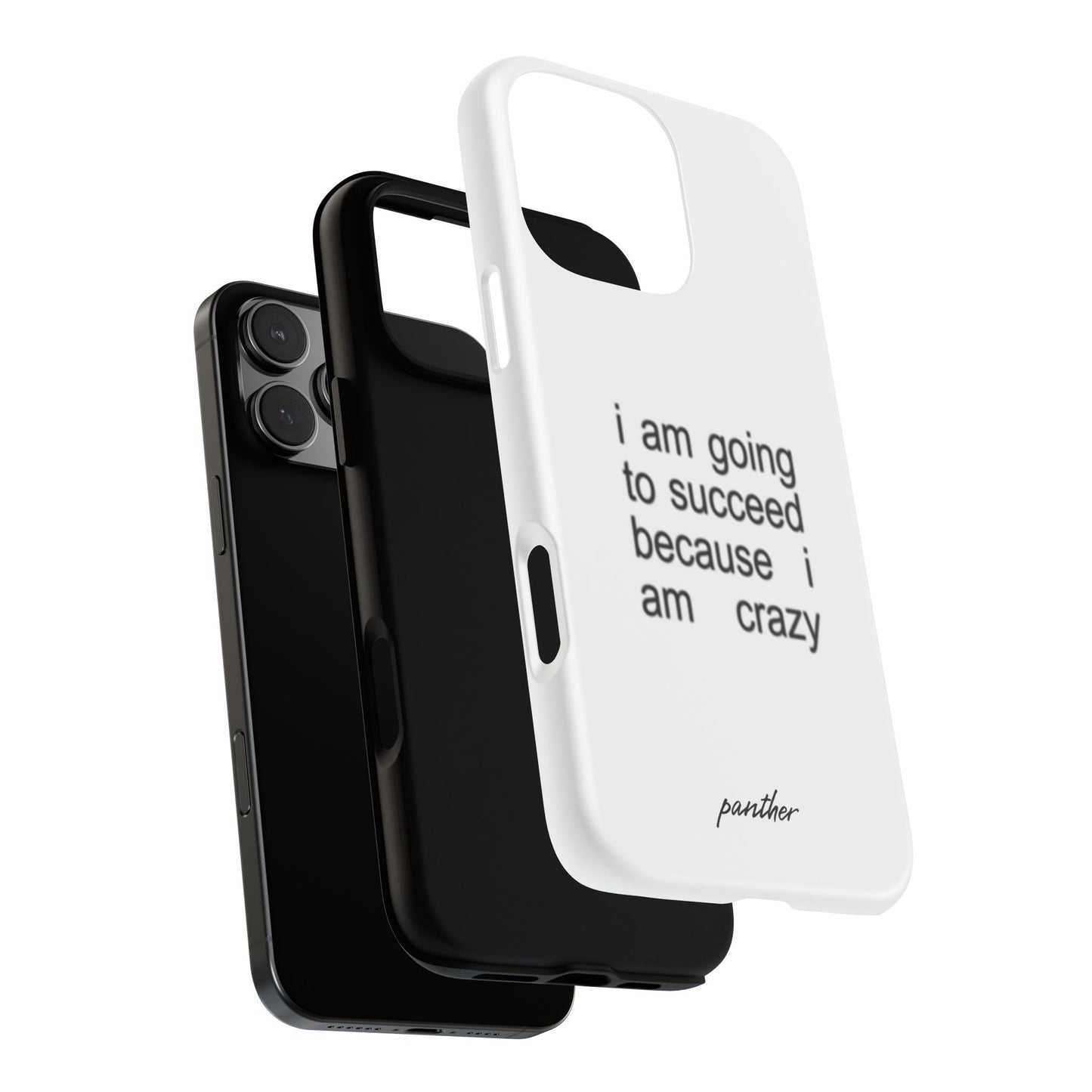 I Am Going To Succeed Because I Am Crazy