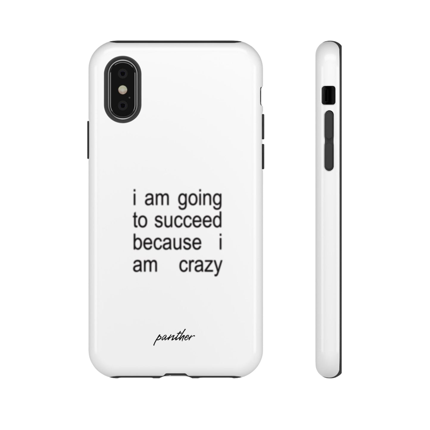 I Am Going To Succeed Because I Am Crazy.