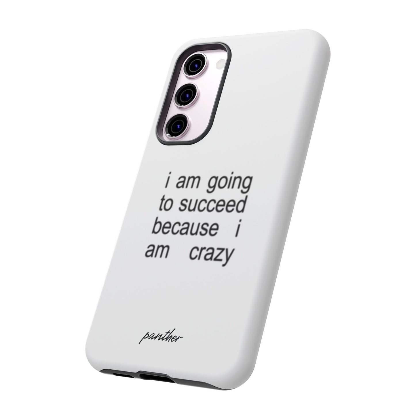 I Am Going To Succeed Because I Am Crazy
