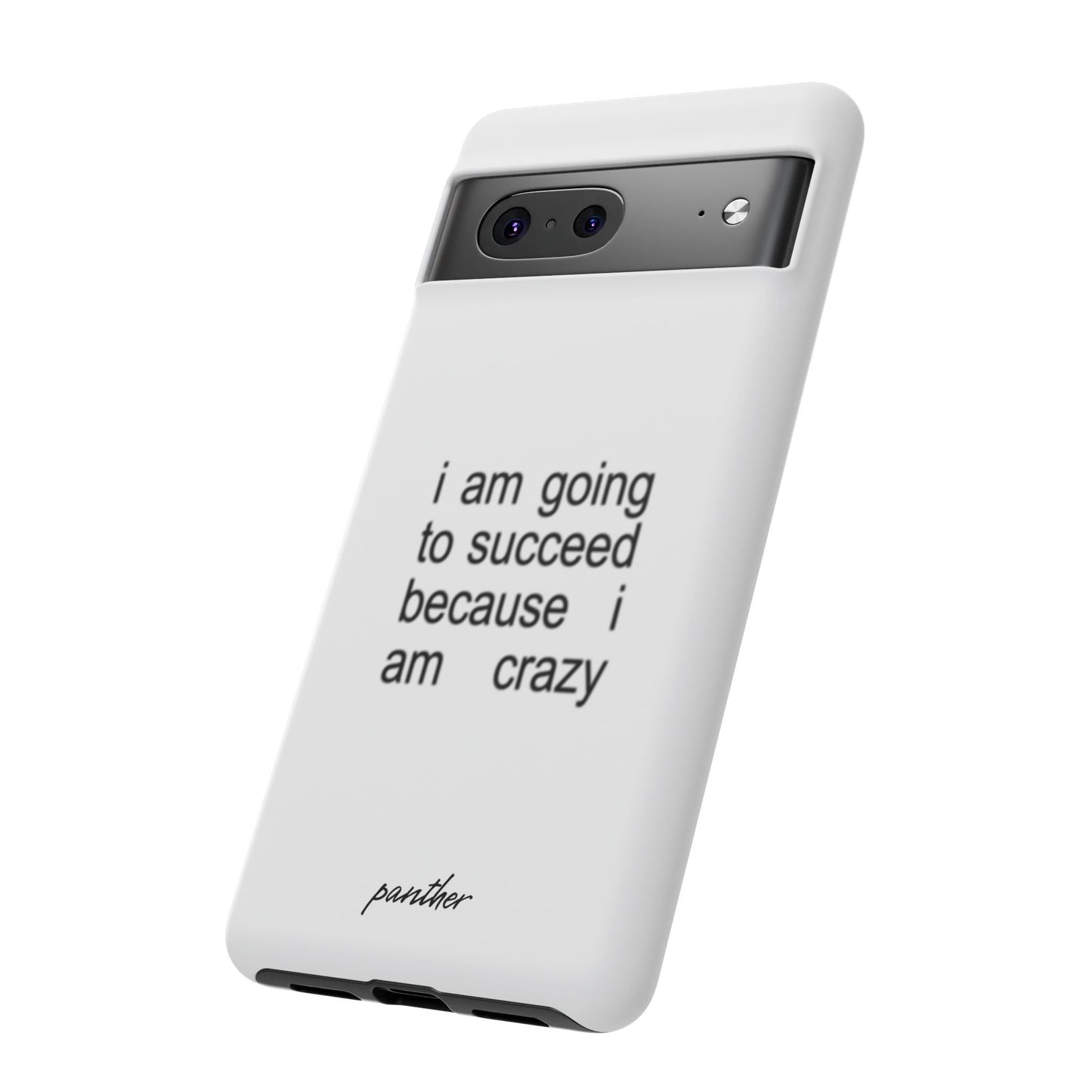 I Am Going To Succeed Because I Am Crazy