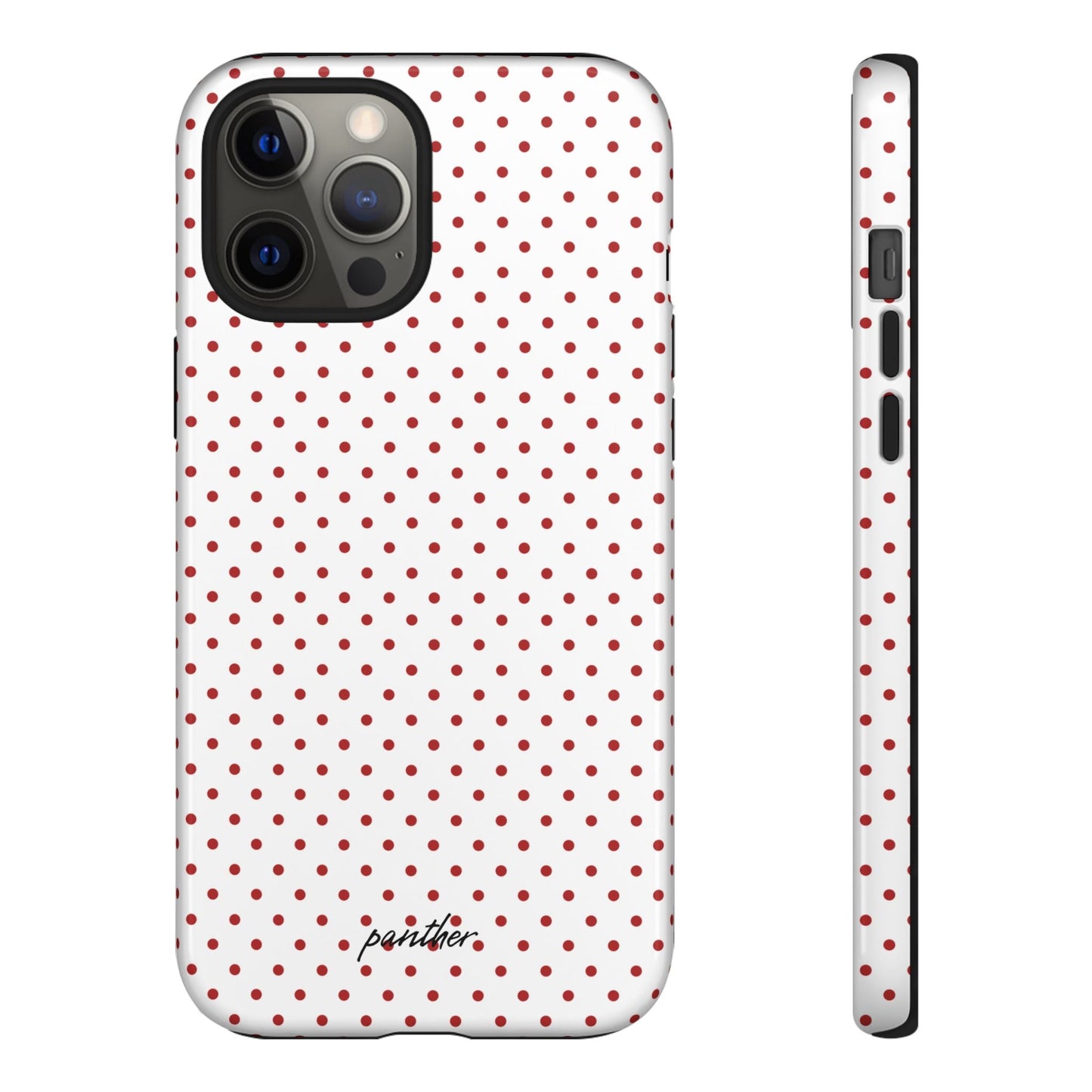 Ladybug V2
