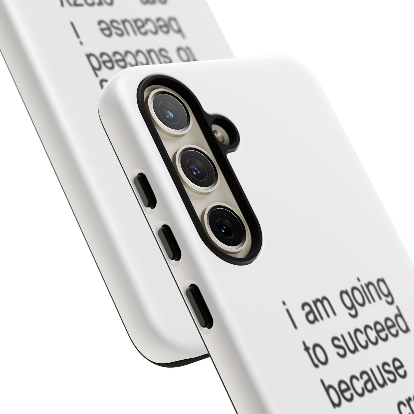 I Am Going To Succeed Because I Am Crazy