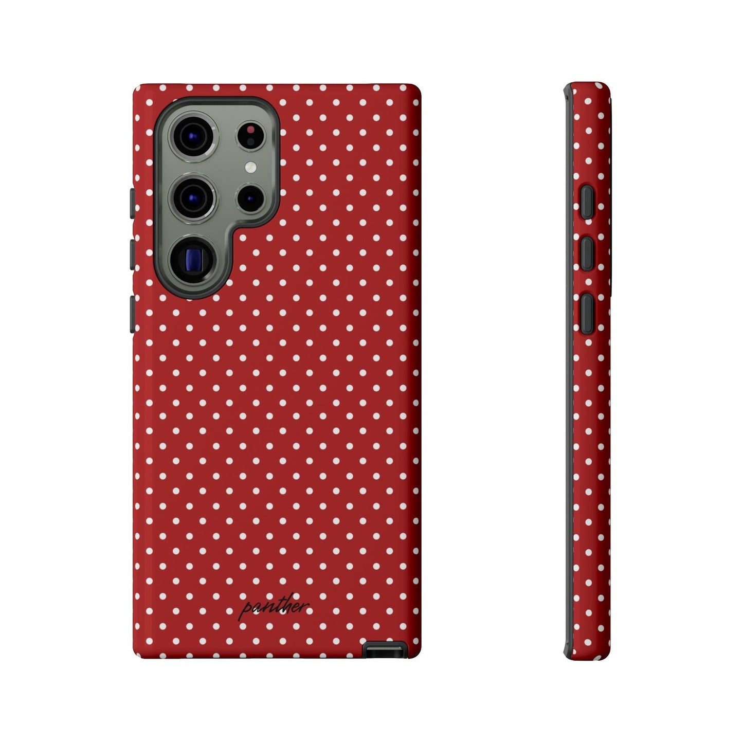 Ladybug V3