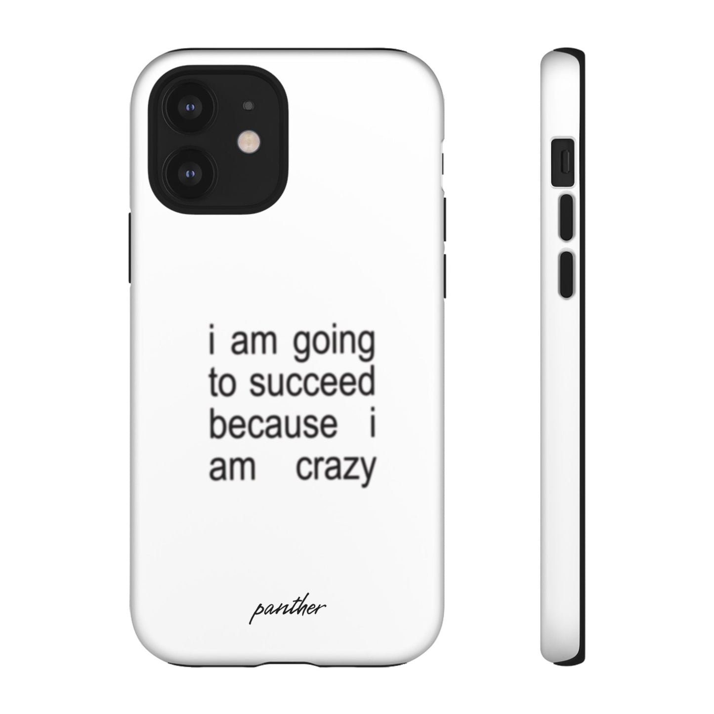 I Am Going To Succeed Because I Am Crazy